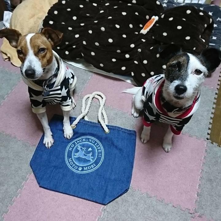 Cbaf8d4e 8800 4d85 bec7 7d3ba1926e3f 1545306133256