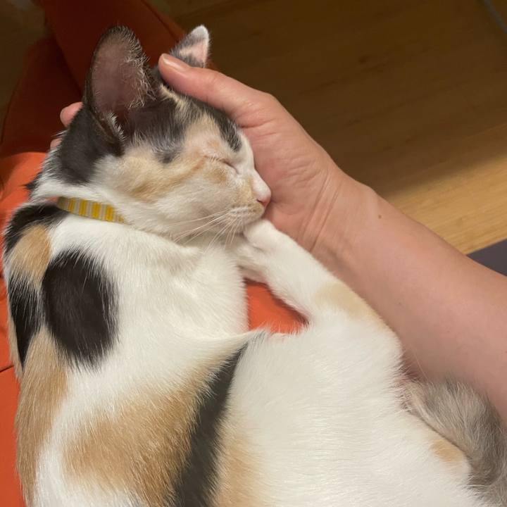 Cbaf97f9 4943 496d 94f0 5f42a3a0f507 1662381741424