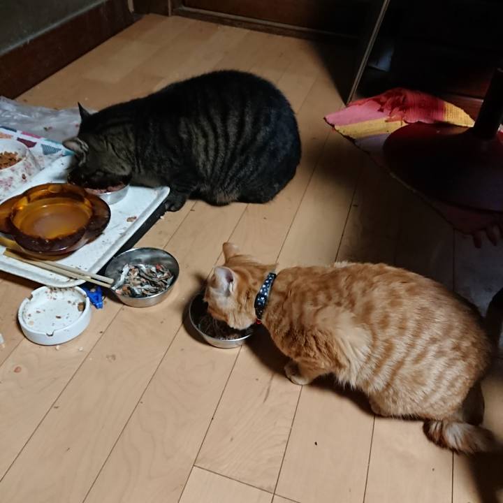 Cbaf9c65 7cb6 4e9a bbf9 91c42514352c 1637527088255