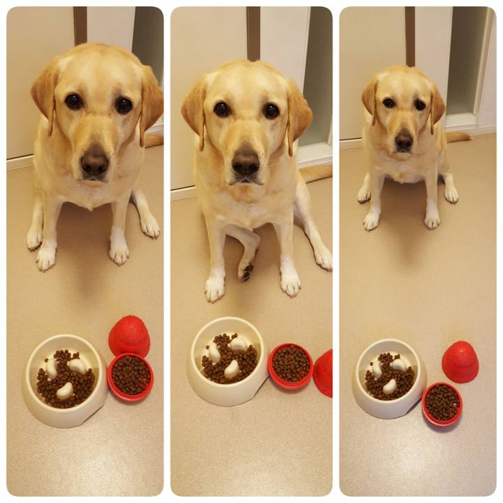 Cbafec8f 38b2 4c06 870b 51732a96a10b 1548113746390