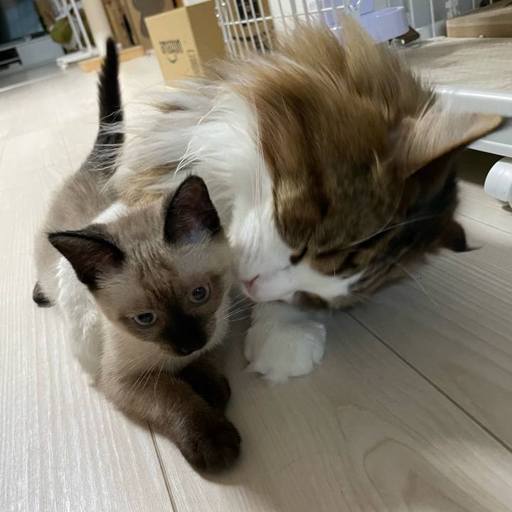 Cbb006aa 6e80 421f b40a 2ee2a6539847 1690314696088