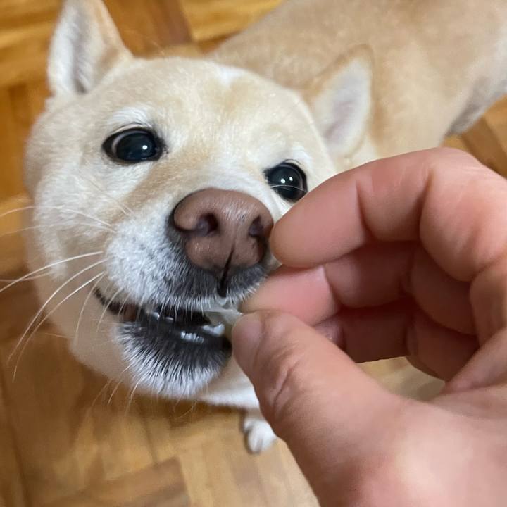 Cbb0181e d5a7 4975 906d 6bd790e964fb 1702035577264