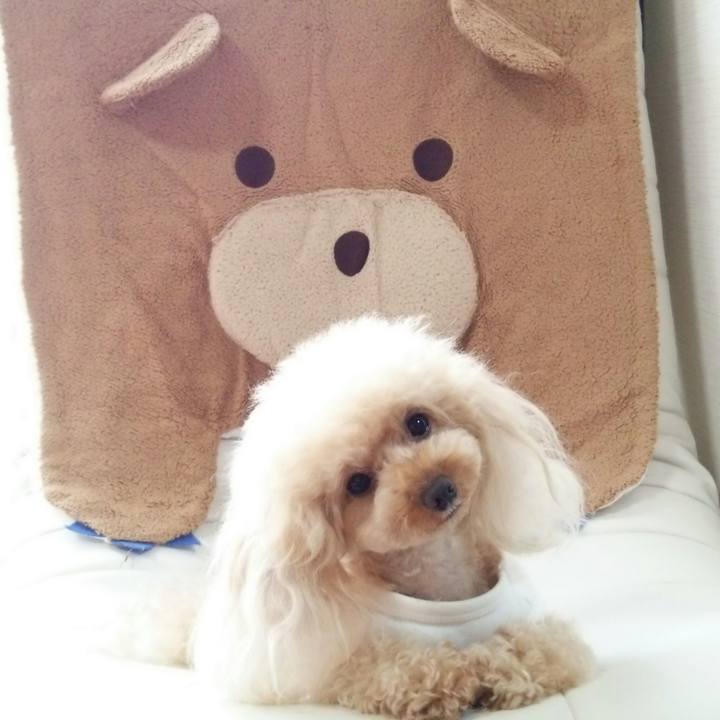 Cbb0284c abf0 4606 887d 0dddbbe0dbee 1539346020895