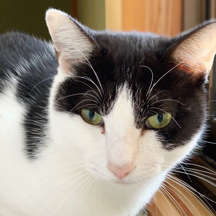 Cbb052bf 8e7e 487d a4a6 66e0f14900b7 1544840117590