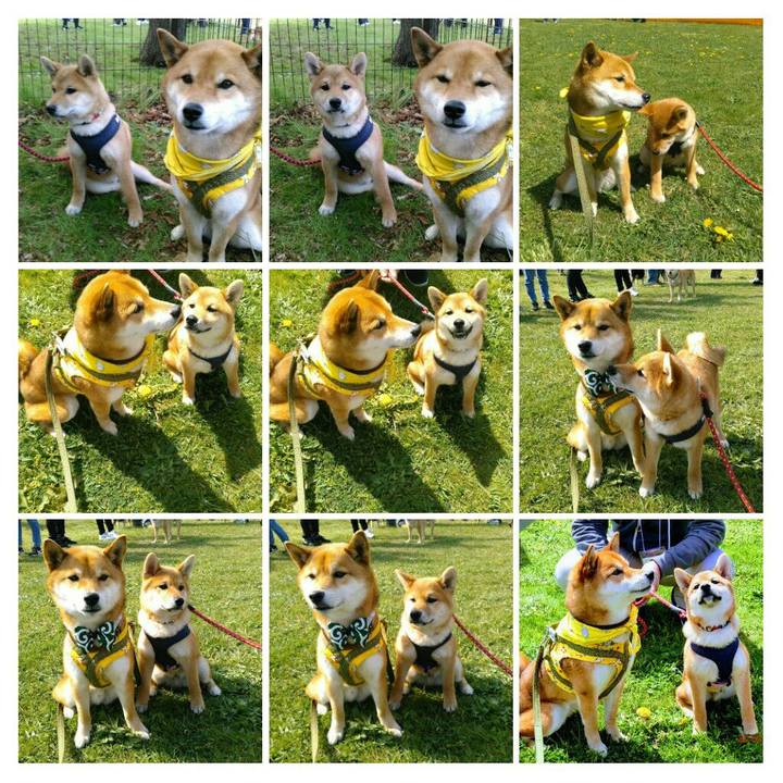 Cbb088fd 62db 4ffa ab8b 0a748a5549ca 1523245133466