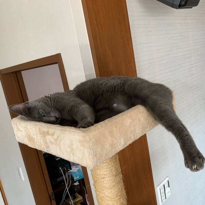 Cbb0afd4 4760 482a 856a 7bc58f8b859f 1597906581328