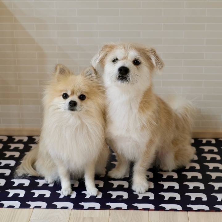 Cbb0b22f dd92 4246 aca0 be90daef0826 1768946729561