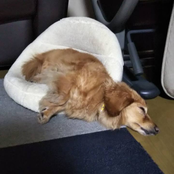 Cbb0b916 5ea1 4081 baf9 fb59da37f85a 1593083895644