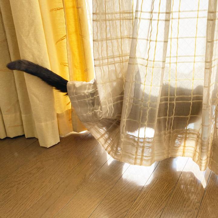 Cbb0d624 4f80 4a3a b683 c7cafea4afb1 1640707568088