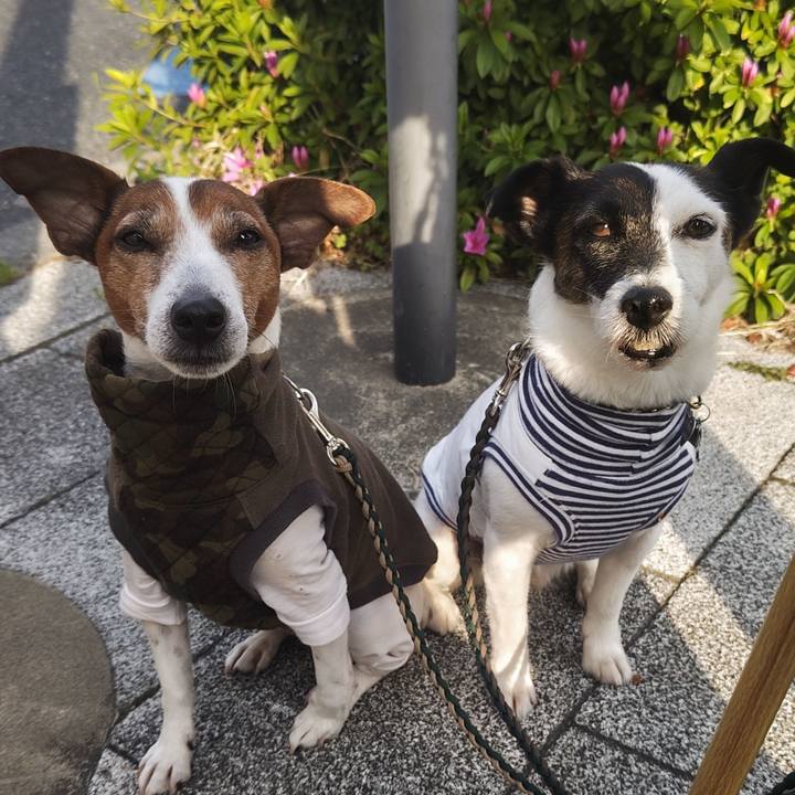 Cbb10bd2 2715 473d a0ec b74c37cfa576 1744841670023