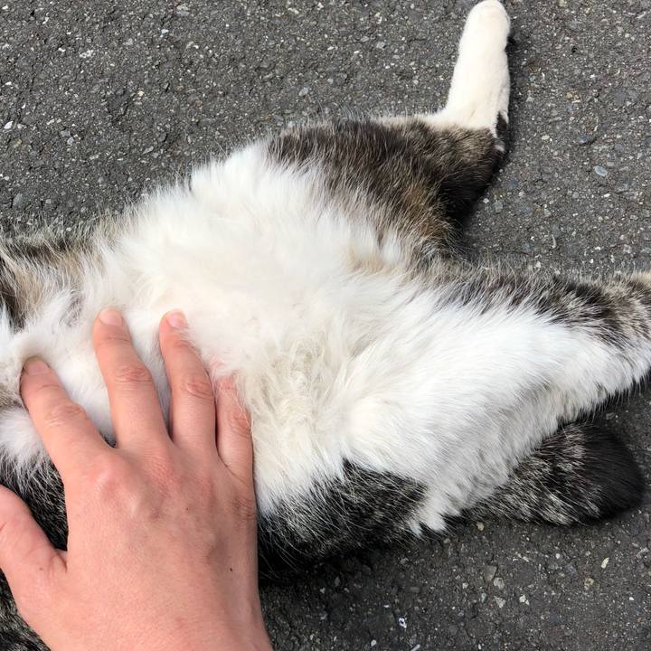 Cbb10cae 6853 40c3 a64f 0a752f092b09 1521089303742