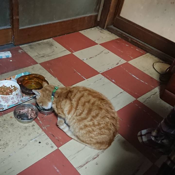 Cbb13c0c 2d35 4137 bd19 359d8f17f79b 1585907065761