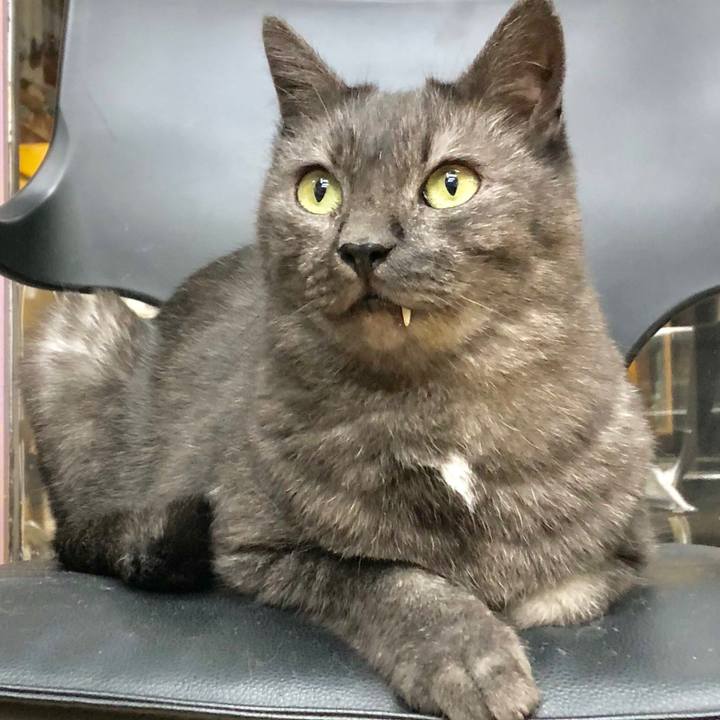 Cbb1500f aca5 4027 9c54 a9e5b13dd14d 1550809345645