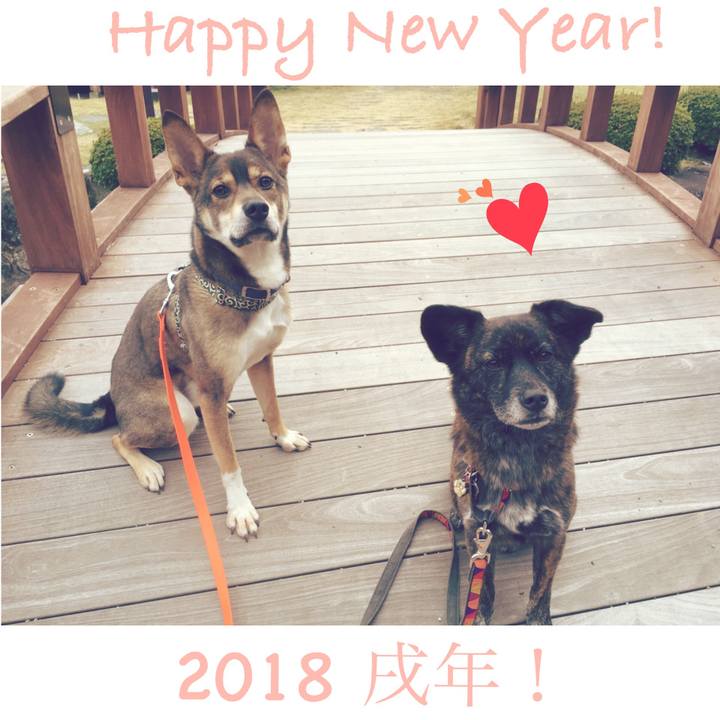 Cbb15c92 bf99 4925 b96f 51ca11d95430 1514777153464