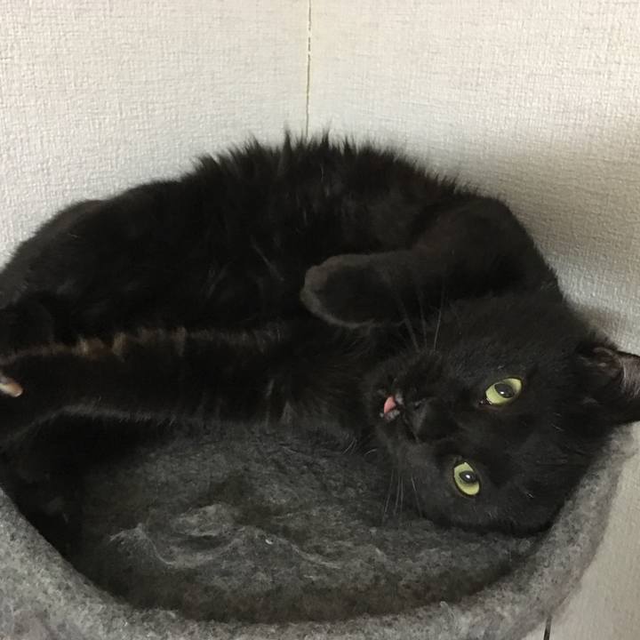 Cbb1a108 812c 425b 809e 0da71daf0131 1534421888555