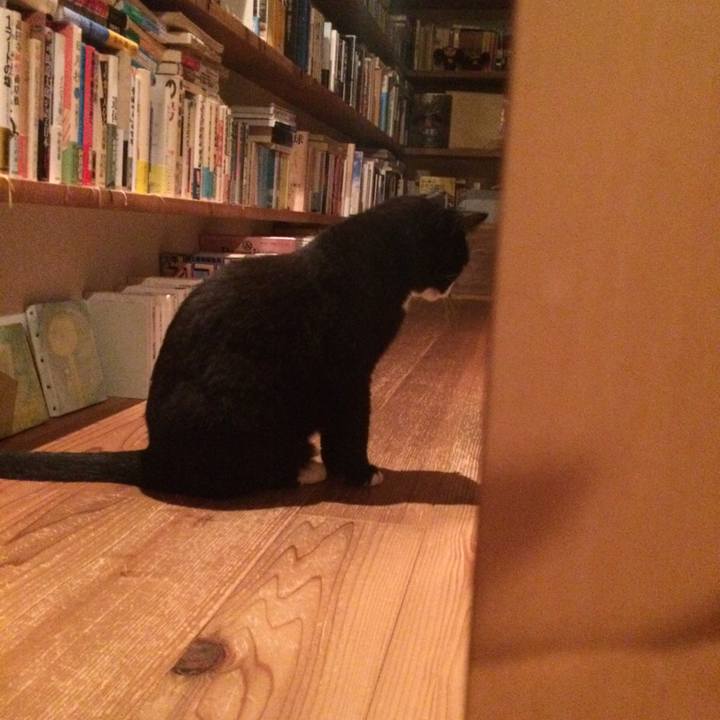 Cbb1baba 6087 4785 bbef c0037097f251 1567692551255