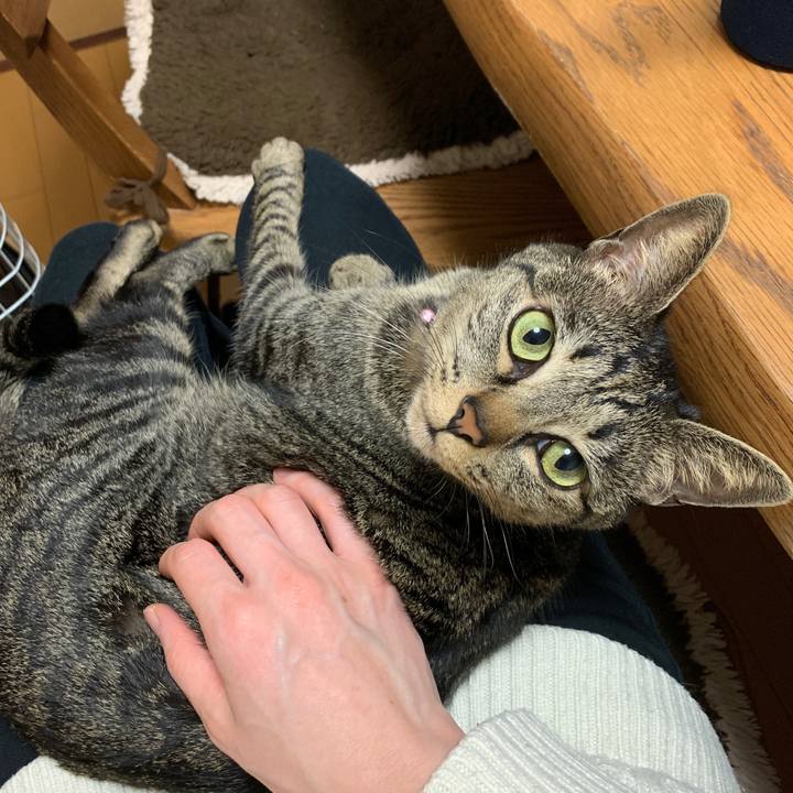 Cbb1f5de b03e 4a3d 9973 1971da27b45d 1550496121751