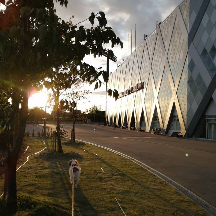 Cbb22744 09a1 4155 94e3 994d2cafbfdd 1604051011781