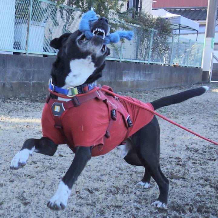 Cbb22e4f 642d 4a7b b43c b4c6177e300b 1677030807460