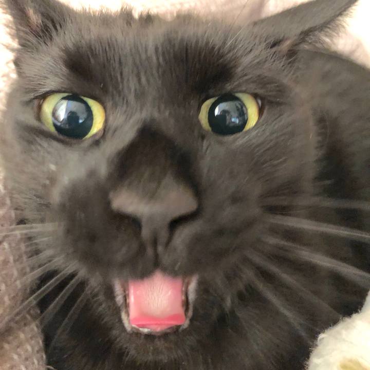 Cbb22eb3 983c 43f7 b509 d9a402a54ece 1576891622145