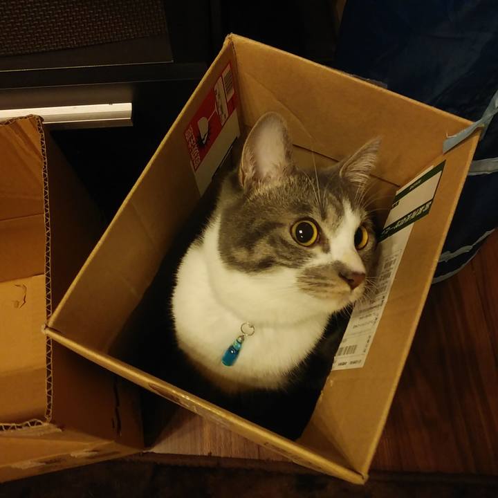 Cbb231cc 3fac 47cf a9bb 106abee05ef2 1580565678588