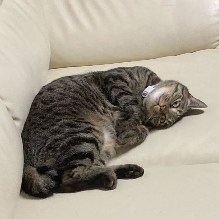 Cbb26467 e393 4e14 9268 e11f3d73ca6c 1637474053499