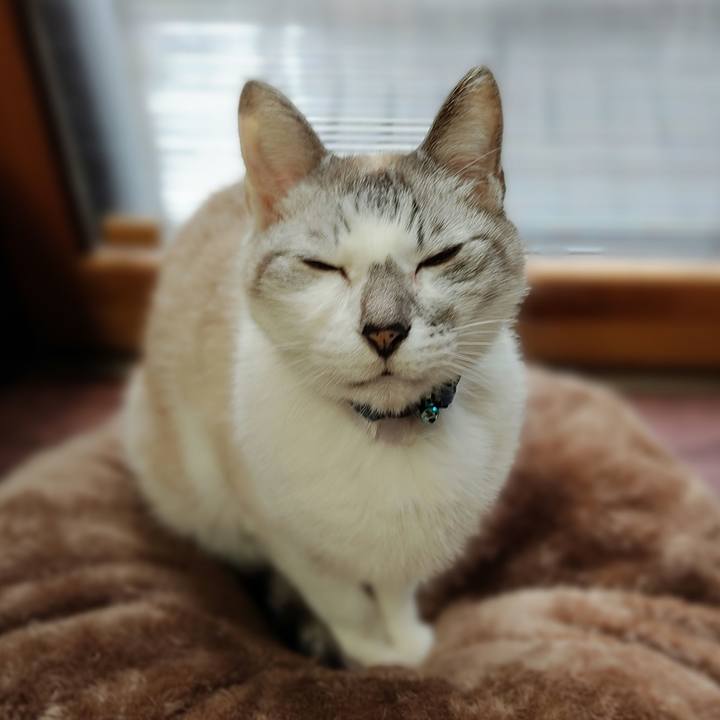 Cbb27803 11bf 4a20 9e0d 1a5557806193 1646620160785