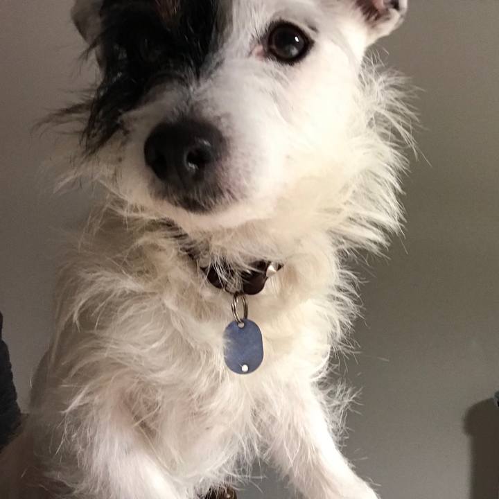 Cbb28ce6 1c74 4f9b a28a 62d1cb4bfaaa 1520163905765