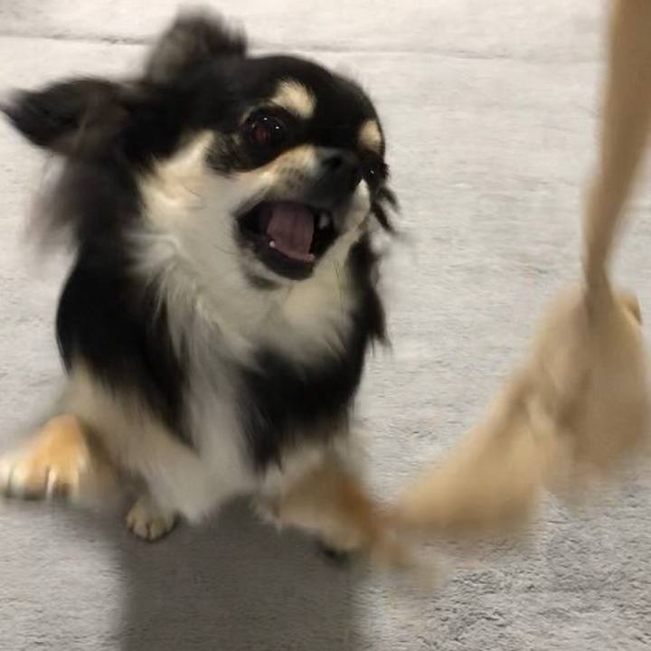 Cbb2bdd7 3b10 433c 9a73 dc0ec31a209d 1594383466889