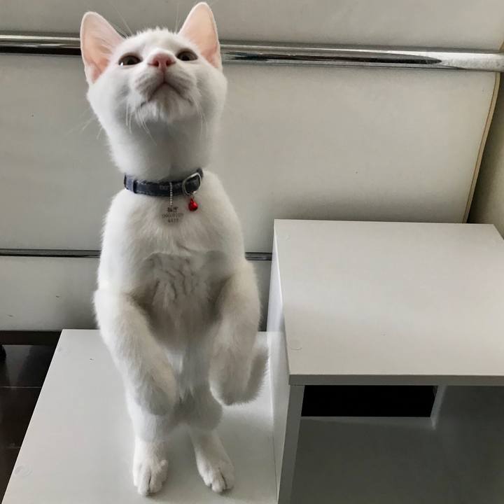 Cbb2dac3 fdbf 400d 9d3a 59d5974fb6e6 1569553657307