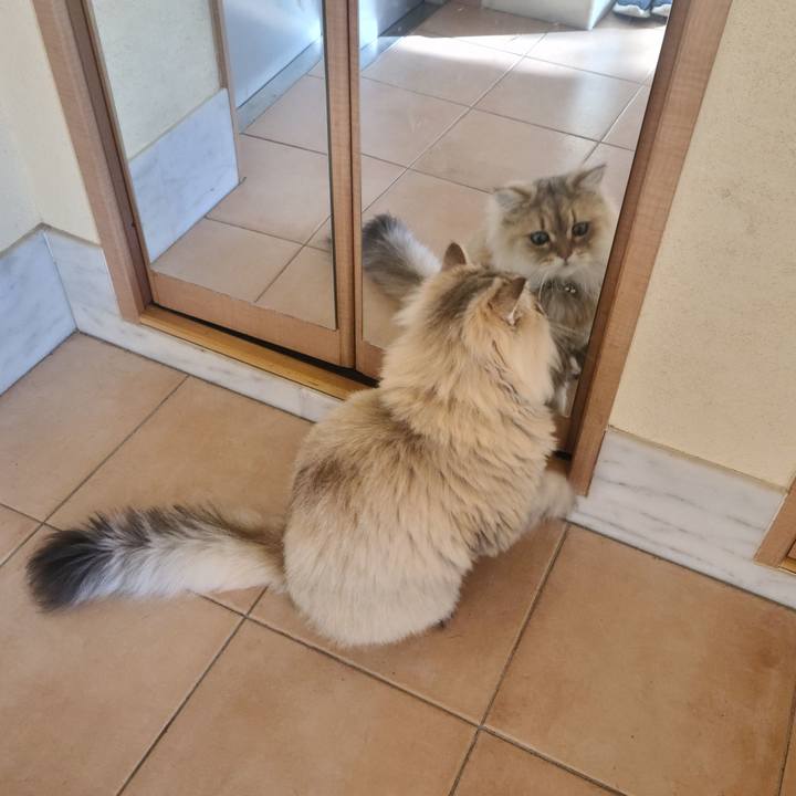 Cbb30d54 e4a3 416b 879c f2ce2014a79a 1668040738937