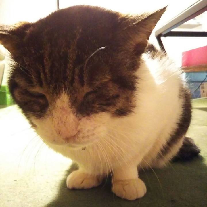 Cbb31d1d 0aa4 4684 80d2 baf2fa8a40c0 1578135959957