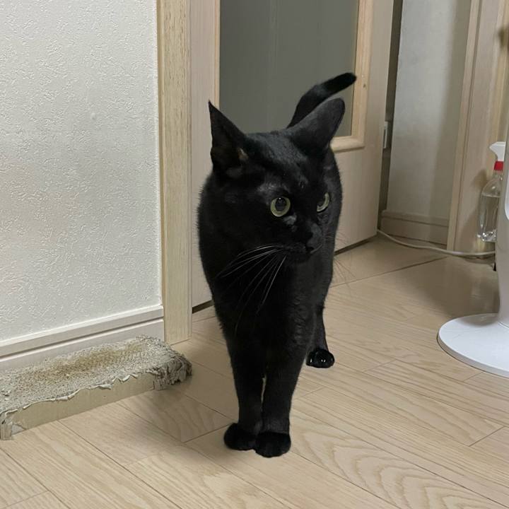 Cbb32d17 ca31 4f66 9677 961717443884 1757509400623