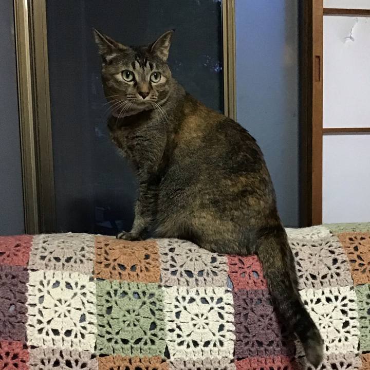 Cbb36815 bfa5 4bba aae0 e5a13c831152 1717063105367