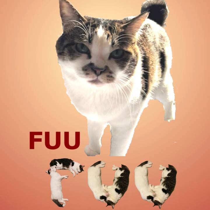 Cbb3773a 7c1b 4755 96e7 1b1a33a90e13 1668300657583