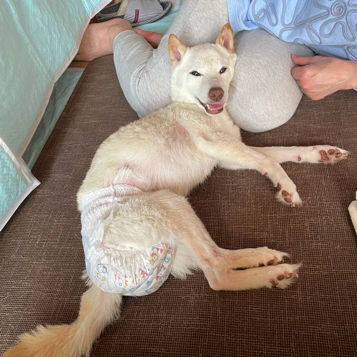 Cbb3801e a2b3 45b2 a216 c0f498fe8cca 1668321935041