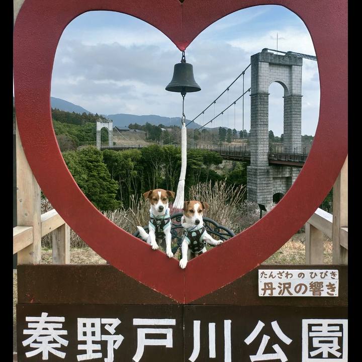 Cbb38221 7c2c 4df5 a89f fb72bd4b84d8 1771923522467