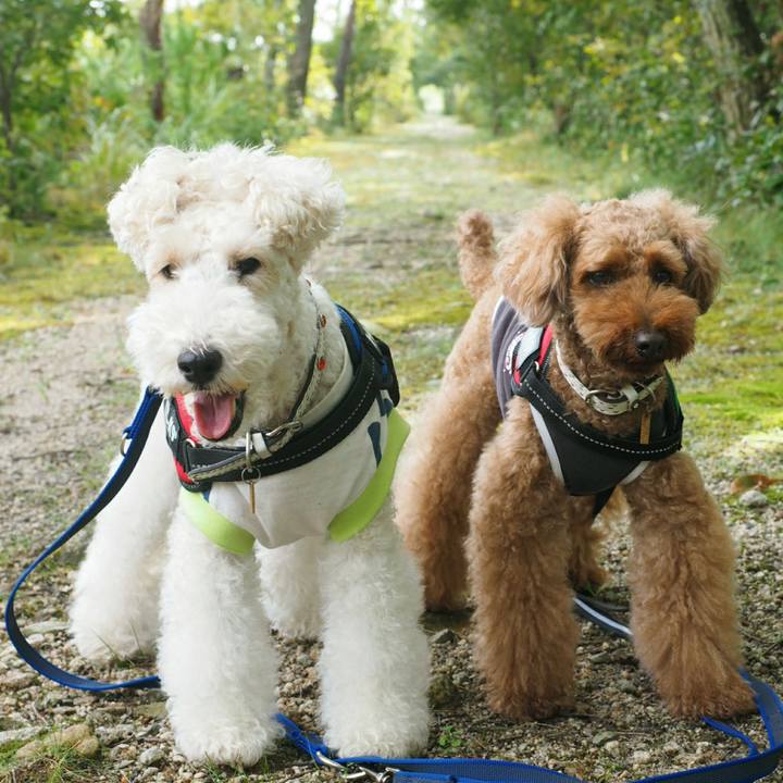 Cbb3872f 5001 46f5 b121 dd07ec535576 1507603515183