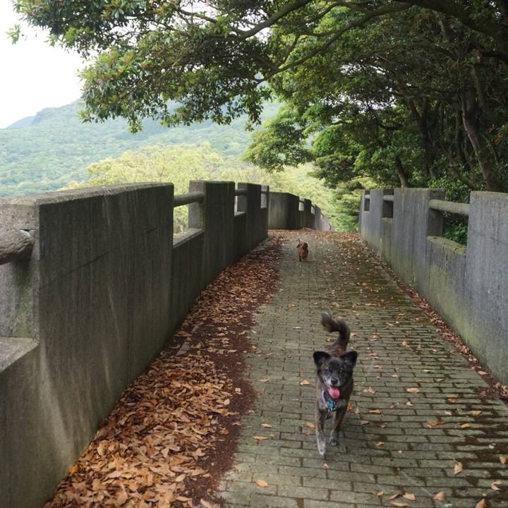 Cbb3878a fbc5 479b b96d f377892fec15 1559193961245