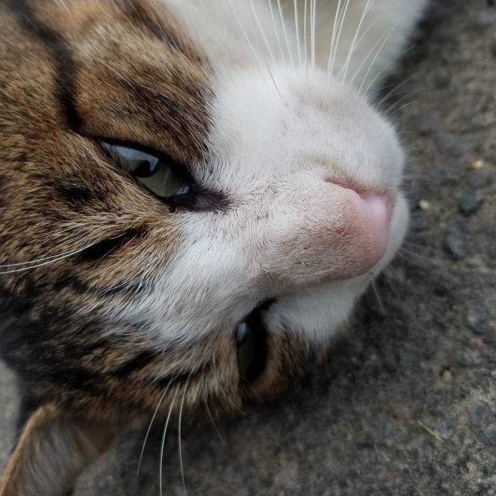 Cbb38d04 2763 4afe ab36 6df6b747ca41 1600779612980