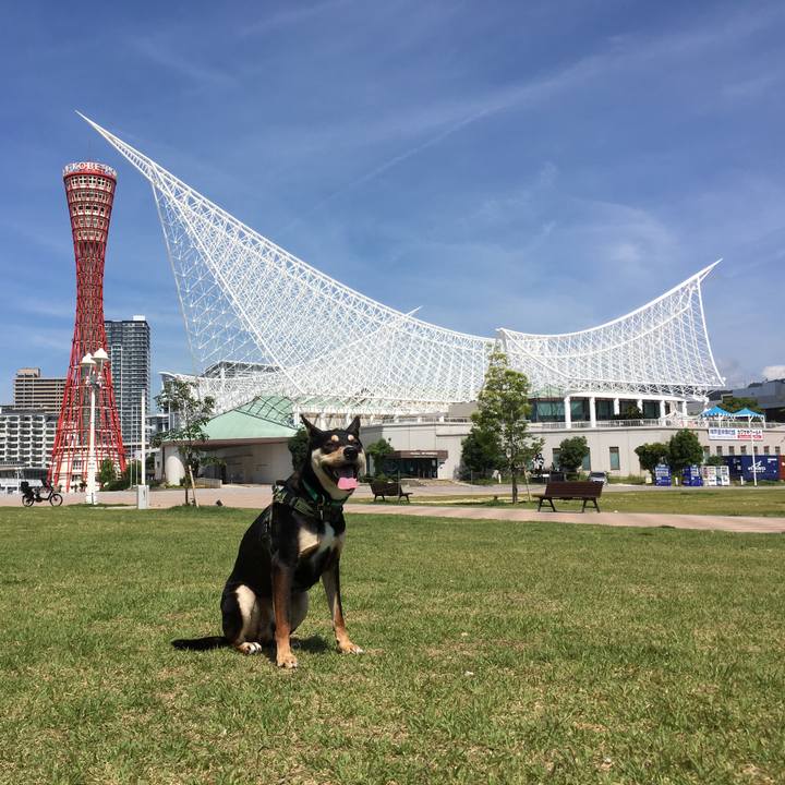 Cbb3ded6 24c0 41ec bd87 6200c1f118b6 1529203451627