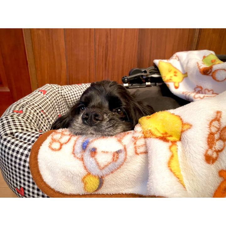 Cbb3f638 c063 4060 81b2 0e4c25554fbd 1663590531634