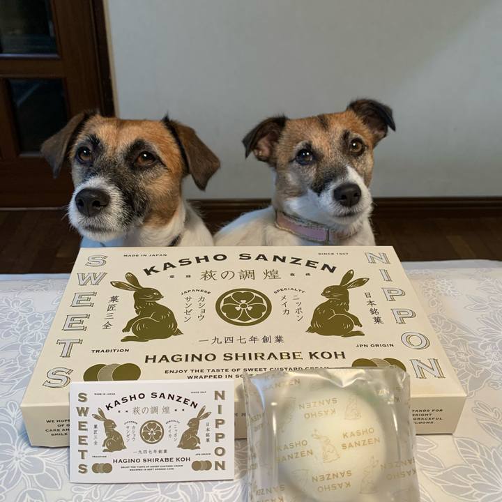 Cbb40cc0 38ba 40f3 951c 478ad680b5a7 1602506321887