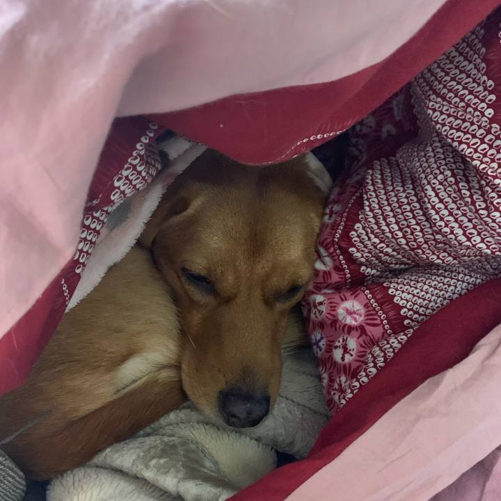 Cbb418f8 50e0 45e7 a7f3 0b50b411dee5 1575327797881