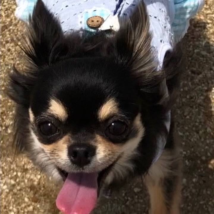 Cbb42d76 469a 4bca 85f0 abd53129ced4 1556872254233