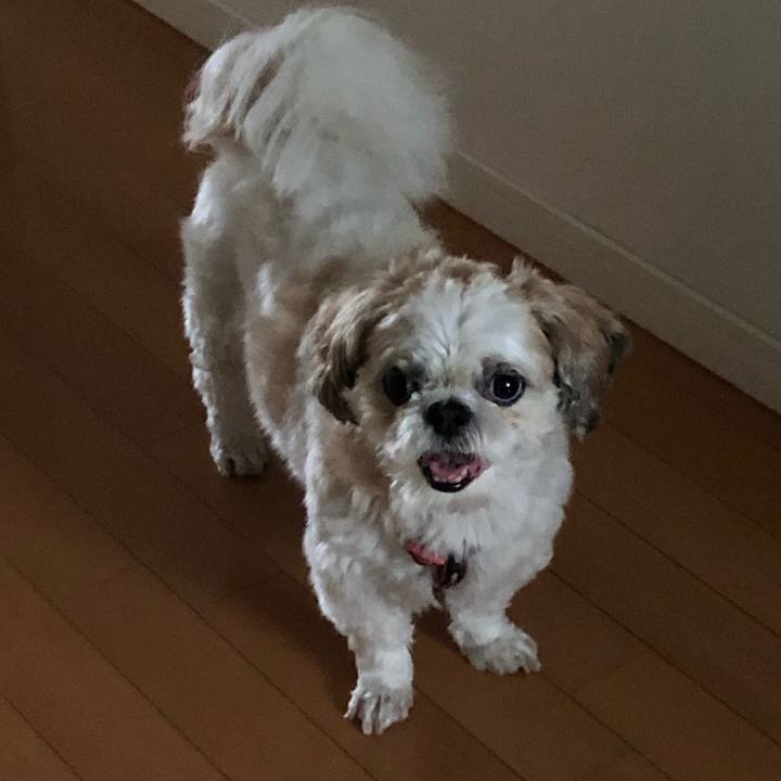 Cbb44456 8e5c 4549 9fa8 b782e8878633 1595454508068