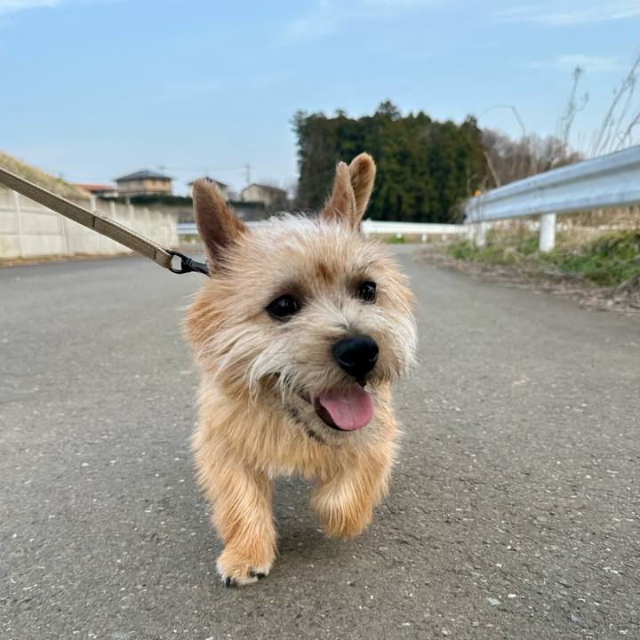 Cbb46c16 87a3 43fc bc2e f243b3eeffb1 1711892108416