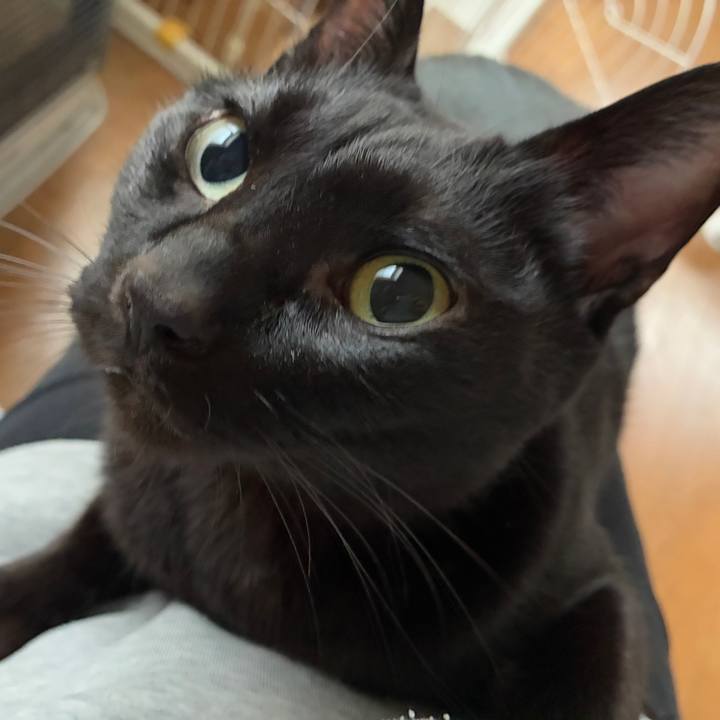 Cbb4f338 75b5 4b46 aece 367208c34ad1 1766729663092