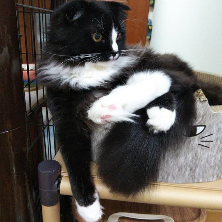 Cbb519a5 e38e 4756 bc28 28e6abb48423 1651843419878