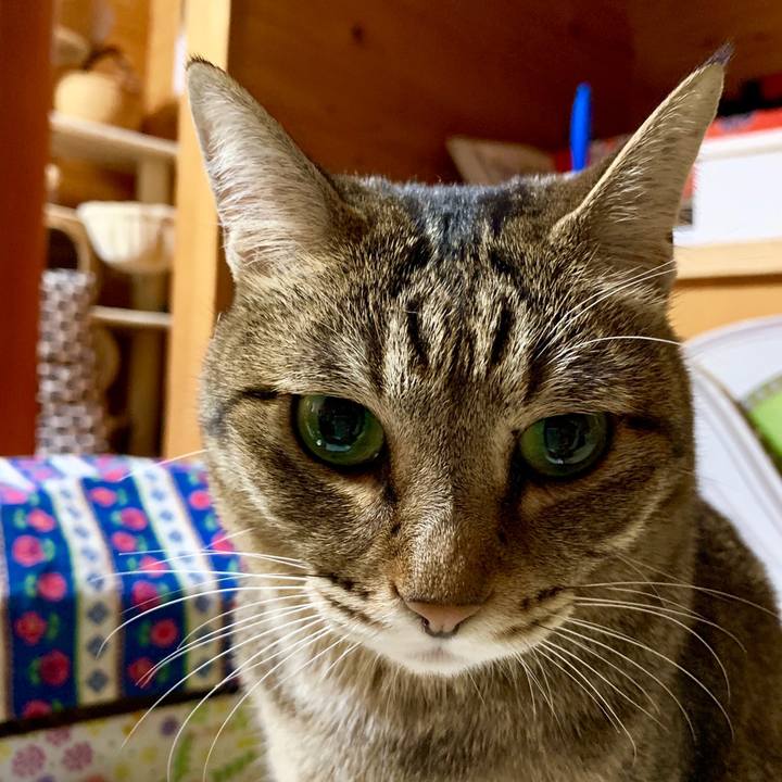 Cbb53a4f e5a2 4b5f bff9 310d14d3dfb7 1559393358290